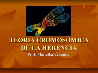 TEORIA CROMOSÓMICATEORIA CROMOSÓMICA
DE LA HERENCIADE LA HERENCIA
Prof. Marielba VelandiaProf. Marielba Velandia
 