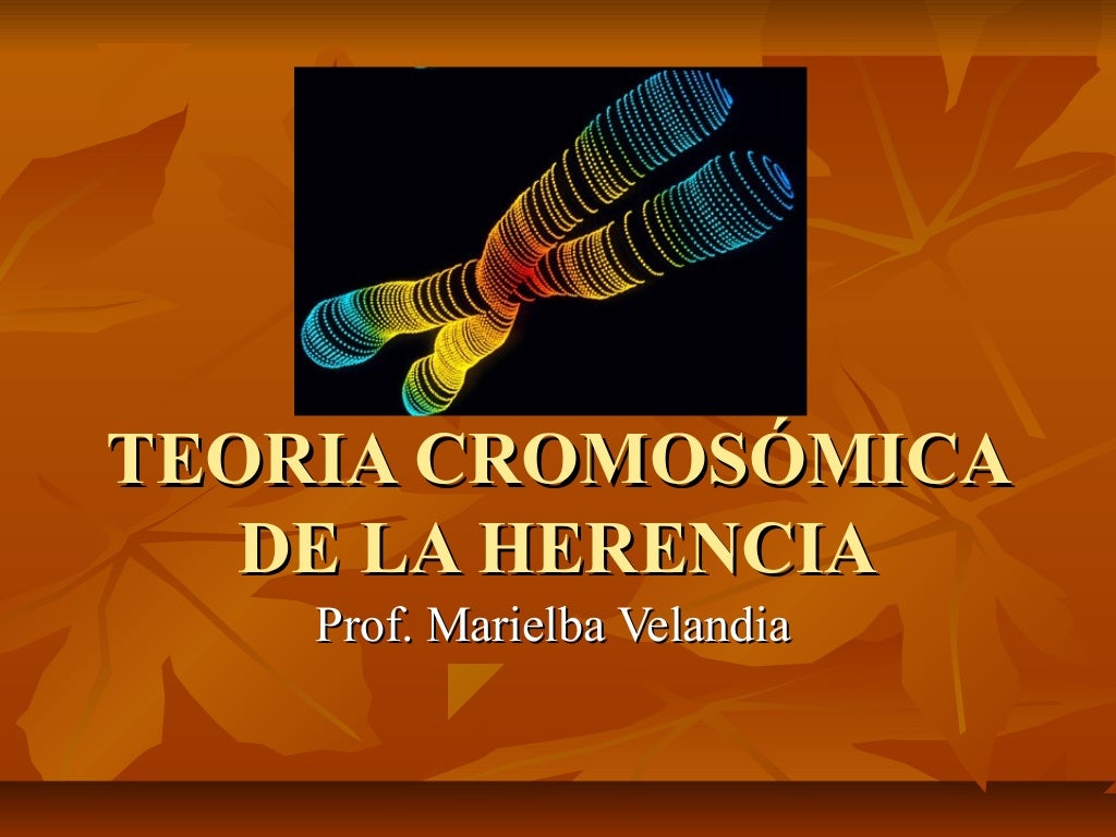 Herencia: Descubre la teoría detrás de la transmisión de características_teorias Teoria de la herencia_teorias