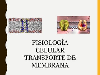 FISIOLOGÍA
CELULAR
TRANSPORTE DE
MEMBRANA
 