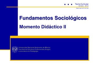 Fundamentos Sociológicos
Momento Didáctico II
Teoría Curricular
Semestre 2014-2
Miguel Angel Del Rui Del Valle
 