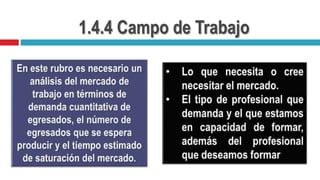 1.4.4 Campo de Trabajo
 