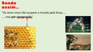 Sendo
assim..
“Os seres vivos não ocupam o mundo pela força.....
.... mas por cooperação”
 