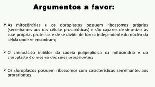 Argumentos a favor:
 As mitocôndrias e os cloroplastos possuem ribossomos próprios
(semelhantes aos das células procarióticas) e são capazes de sintetizar as
suas próprias proteínas e de se dividir de forma independente do núcleo da
célula onde se encontram;
 O aminoácido inibidor da cadeia polipeptídica da mitocôndria e do
cloroplasto é o mesmo dos seres procariontes;
 Os cloroplastos possuem ribossomos com características semelhantes aos
procariontes.
 
