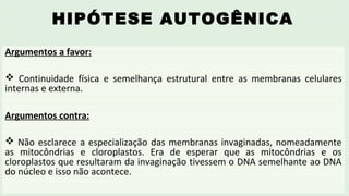 HIPÓTESE AUTOGÊNICA
Argumentos a favor:
 Continuidade física e semelhança estrutural entre as membranas celulares
internas e externa.
Argumentos contra:
 Não esclarece a especialização das membranas invaginadas, nomeadamente
as mitocôndrias e cloroplastos. Era de esperar que as mitocôndrias e os
cloroplastos que resultaram da invaginação tivessem o DNA semelhante ao DNA
do núcleo e isso não acontece.
 