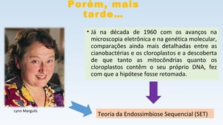 Porém, mais
tarde…
• Já na década de 1960 com os avanços na
microscopia eletrônica e na genética molecular,
comparações ainda mais detalhadas entre as
cianobactérias e os cloroplastos e a descoberta
de que tanto as mitocôndrias quanto os
cloroplastos contêm o seu próprio DNA, fez
com que a hipótese fosse retomada.
Lynn Margulis
Teoria da Endossimbiose Sequencial (SET)
 