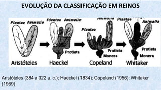 EVOLUÇÃO DA CLASSIFICAÇÃO EM REINOS
 