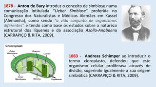 1878 – Anton de Bary introduz o conceito de simbiose numa
comunicação intitulada “Ueber Simbiose” proferida no
Congresso dos Naturalistas e Médicos Alemães em Kassel
(Alemanha), como sendo “a vida conjunta de organismos
diferentes” e tendo como base os estudos sobre a natureza
estrutural dos líquenes e da associação Azolla-Anabaena
(CARRAPIÇO & RITA, 2009).
1883 - Andreas Schimper ao introduzir o
termo cloroplasto, defendeu que este
organismo celular proliferava através de
divisão, sugerindo igualmente a sua origem
simbiótica (CARRAPIÇO & RITA, 2009).
 