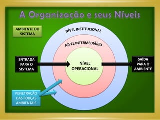 AMBIENTE DO
  SISTEMA




 ENTRADA                      SAÍDA
  PARA O         NÍVEL       PARA O
 SISTEMA      OPERACIONAL   AMBIENTE




PENETRAÇÃO
DAS FORÇAS
AMBIENTAIS
 