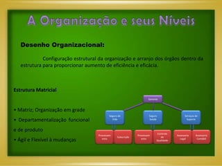 Desenho Organizacional:

             Configuração estrutural da organização e arranjo dos órgãos dentro da
   estrutura para proporcionar aumento de eficiência e eficácia.



Estrutura Matricial
                                                                      Gerente



• Matriz; Organização em grade
                                           Seguro de                  Seguro                  Serviços de
• Departamentalização funcional              Vida                     Saúde                    Suporte



e de produto
                                                                            Controle
                                    Processam                 Processam                 Assessoria     Assessoria
                                                 Subscrição                    de
• Ágil e Flexível à mudanças           ento                      ento
                                                                            Qualidade
                                                                                          Legal         Contábil
 