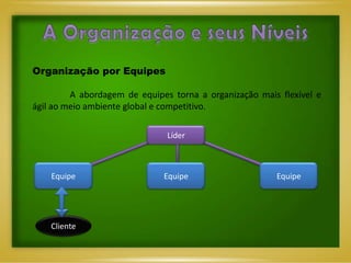 Organização por Equipes

         A abordagem de equipes torna a organização mais flexível e
ágil ao meio ambiente global e competitivo.

                               Líder



    Equipe                    Equipe                    Equipe




    Cliente
 