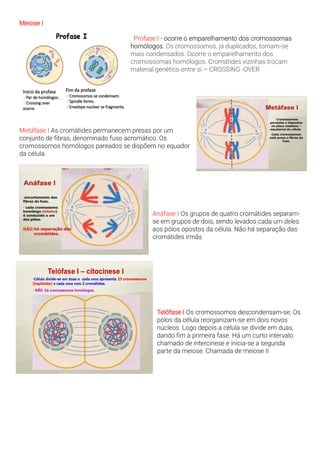 Meiose I
Prófase I - ocorre o emparelhamento dos cromossomas
homólogos. Os cromossomos, já duplicados, tornam-se
mais condensados. Ocorre o emparelhamento dos
cromossomas homólogos. Cromátides vizinhas trocam
material genético entre si – CROSSING -OVER
Metáfase I As cromátides permanecem presas por um
conjunto de fibras, denominado fuso acromático. Os
cromossomos homólogos pareados se dispõem no equador
da célula
Anáfase I Os grupos de quatro cromátides separam-
se em grupos de dois, sendo levados cada um deles
aos pólos opostos da célula. Não há separação das
cromátides irmãs
Telófase I Os cromossomos descondensam-se; Os
pólos da célula reorganizam-se em dois novos
núcleos. Logo depois a célula se divide em duas,
dando fim à primeira fase. Há um curto intervalo
chamado de intercinese e inicia-se a segunda
parte da meiose. Chamada de meiose II
 