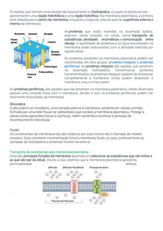 Os lipídios que formam essa bicada são basicamente os fosfolipídios, os quais se destacam por
apresentarem uma região hidrofóbica e uma região hidrofílica. Na membrana plasmática, a primeira
está voltada para o centro da membrana, enquanto a segunda volta-se para as superfícies externa e
interna da membrana.
As proteínas que estão inseridas na bicamada lipídica.
exercem várias funções na célula, como: transporte de
substâncias, atividades enzimáticas e comunicação entre
células. A quantidade de proteínas e os tipos encontrados na
membrana estão relacionados com a atividade exercida por
aquela célula.
As proteínas presentes na membrana plasmática podem ser
classificadas em dois grupos: proteínas integrais e proteínas
periféricas. As proteínas integrais são aquelas que penetram
na bicamada fosfolipídica. Denomina-se proteínas
transmembranas as proteínas integrais capazes de atravessar
completamente a membrana. Essas podem atravessar a
membrana uma ou mais vezes.
As proteínas periféricas, são aquelas que não penetram na membrana plasmática, sendo observada
apenas uma conexão fraca com a membrana. Devido a isso, as proteínas periféricas podem ser
facilmente dissociadas da membrana.
Glicocálice
O glicocálix é um envoltório, uma camada externa à membrana, presente em células animais,
formada por uma rede frouxa de carboidratos que recobre a membrana plasmática. Protege a
célula contra agressões físicas e químicas, retém nutrientes e enzimas e participa do
reconhecimento intercelular.
Fluidez
Os constituintes da membrana não são estáticos por esse motivo ele é chamado de modelo
mosaico. Essa constante movimentação torna a membrana fluida, ou seja, continuamente as
camadas de fosfolipídios e proteínas movem-se entre si.
Transporte de substâncias pela membrana plasmática
Uma das principais funções da membrana plasmática é selecionar as substâncias que vão entrar e
as que vão sair da célula. Devido a isso, dizemos que a membrana plasmática apresenta
permeabilidade seletiva.
"
 