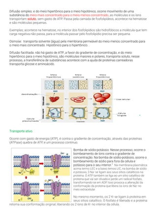 Difusão simples: e do meio hipertônico para o meio hipotônico, ocorre movimento de uma
substância do meio mais concentrado para o meio menos concentrado, as moléculas e os íons
transportam soluto, sem gasto de ATP. Passa pela camada de fosfolipídeos, acontece na hematose
e são moléculas pequenas.
Exemplas; acontece na hematose, no interior dos fosfolipídios são hidrofóbicos a molécula que tem
carga negativa não passa, para a molécula passar pelo fosfolipídio precisa ser pequena.
Osmose: transporta solvente (água) pela membrana permeável do meio menos concentrado para
o meio mais concentrado. Hipotônico para o hipertônico.
Difusão facilitada: não há gasto de ATP, a favor do gradiente de concentração, e do meio
hipertônico para o meio hipotônico, são moléculas maiores e polares, transporta soluto, nesse
processo, a transferência de substâncias acontece com a ajuda de proteínas carreadoras
transporta glicose e aminoácido.
"
Transporte ativo
Ocorre com gasto de energia (ATP), é contra o gradiente de concentração, através das proteínas
(ATPase) quebra de ATP, e um processo continuo.
Bomba de sódio-potássio: Nesse processo, ocorre o
bombeamento de íons contra o gradiente de
concentração. Na bomba de sódio-potássio, ocorre o
bombeamento de sódio para fora da célula e
potássio para o seu interior." Na membrana plasmática
acima termo LEC e a baixo temos LIC, na bomba de sódio
e potássio, 3 Na+ se ligam aos seus sítios catalíticos na
proteína. O ATP também se liga ao um sitio catalítico de
proteína que vai ser clivado e perde um radical fosfato,
transformando-se em ADP. Isso provoca a alteração da
conformação da proteína que libera os íons de Na+ no
meio extracelular.
No mesmo momento, os 2 K+ se ligam à proteína em
seus sítios catalítico. O fosfato é liberado e a proteína
retoma sua conformação original, liberando os 2 íons de K+ no interior da célula.
 