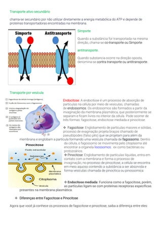 Transporte ativo secundário
chama-se secundário por não utilizar diretamente a energia metabólica do ATP e depende de
proteínas transportadoras encontradas na membrana.
Simporte
Quando a substância for transportada na mesma
direção, chama-se co-transporte ou Simporte.
antitransporte.
Quando substancia ocorre na direção oposta,
denomina-se contra transporte ou antitransporte.
Transporte por vesícula
Endocitose: A endocitose é um processo de absorção de
partículas na célula por meio de vesículas, chamadas
de endossomos. Os endossomos são formados a partir da
invaginação da membrana plasmática, que posteriormente se
separam e ficam livres no interior da célula. Pode ocorrer de
três formas: fagocitose, endocitose mediada e pinocitose.
❖ Fagocitose: Englobamento de partículas maiores e sólidas,
processo de evaginação projeta braços chamado de
pseudópodes (falso pês) que se projetam para além da
membrana e englobam a partícula formando uma vesícula chamada de fagossomo. Dentro
da célula, o fagossomo se movimenta pelo citoplasma até
encontrar a organela lisossomos. ex como bactérias ou
protozoários.
❖ Pinocitose: Englobamento de partículas líquidas, entra em
contato com a membrana e forma o processo de
invaginação, no processo de pinocitose, a célula se encontra
em meio aquoso contendo a substância a ser absorvida e
forma vesículas chamada de pinocitica ou pinossomica
❖ Endocitose mediada: Funciona como a fagocitose, porém,
as partículas ligam-se com proteínas receptoras específicas
presentes na membrana plasmática.
❖ Diferenças entre Fagocitose e Pinocitose
Agora que você já conhece os processos de fagocitose e pinocitose, saiba a diferença entre eles:
 