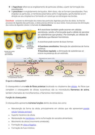 ❖ A fagocitose refere-se ao englobamento de partículas sólidas, a partir da formação dos
pseudópodes.
❖ A pinocitose é o englobamento de líquidos. Além disso, não se formam pseudópodes. Para
englobar as partículas, a membrana plasmática sofre invaginações, aprofundando-se em
direção ao seu citoplasma e formando um canal que se estrangula nas bordas.
Exocitose: consiste na eliminação dos restos das partículas digeridas para fora da célula. Ao final do
processo de digestão das partículas, a célula precisa eliminar os seus restos. Esse processo de eliminação
dos restos da digestão celular é chamado de clasmocitose.
❖A exocitose também pode ocorrer em células
secretoras, sendo a forma pela qual a célula irá secretar
as substâncias que produz. Por exemplo, as células de
glândulas que liberam hormônios.
A exocitose pode ocorrer de duas formas:
❖Exocitose constitutiva: liberação de substâncias de forma
contínua.
❖Exocitose regulada: a eliminação de substâncias só
ocorre na presença de um estímulo.
O que é o citoesqueleto?
O citoesqueleto é uma rede de fibras proteicas localizada no citoplasma das células. As fibras que
compõem o citoesqueleto de células eucarióticas são os microtúbulos, filamentos de actina,
também chamados de microfilamentos, e filamentos intermediários.
Função do citoesqueleto
O citoesqueleto apresenta inúmeras funções dentro da célula, tais como:
• Manutenção da forma da célula, principalmente em células que não apresentam parede
celular (células animais);
• Suporte mecânico da célula;
• Manipulação da membrana, como na formação de vacúolos alimentares;
• Movimento da célula (movimento ameboide);
• Formação de cílios e flagelos;
• Formação do fuso mitótico;
 