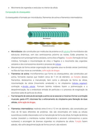 • Movimento de organelas e vesículas no interior da célula
Composição do citoesqueleto
O citoesqueleto é formado por microtúbulos, filamentos de actina e filamentos intermediários:
• Microtúbulos: são constituídos por moléculas da proteína α e β tubulina Os microtúbulos são
estruturas dinâmicas, vem dos centrossomos próximo ao núcleo, Estão presentes no
citoplasma e em prolongamentos celulares, como cílios e flagelos. funções formação do fuso
mitótico, formação e movimentação de cílios e flagelos e o movimento das organelas
celulares e dos cromossomos durante o processo de mitose.
• Manutenção da forma celular organização das organelas atua na divisão celular (centríolos)
na fibra do fuso move as cromátides, sofre ação de drogas
• Filamentos de actina: microfilamentos que forma os citoesqueletos, são constituídos por
actina, formando espirais que medem cerca de 7 nm de diâmetro. as funções desses
filamentos, destacamos a manutenção, bem como a alteração da forma da célula,
movimentação da célula (movimento ameboide) e, no citoplasma (células vegetais),
contração e divisão celular. Formam bolinha instáveis fazem a polimerização e a
despolimerização, faz a endocitose entrada de partículas e o processo de evaginação da
exocitose saída de partícula da célula.
• Faz transporte de vesícula de secreção a actina vai se associar a miosina e formar a contração
muscular, gasta ATP, citocinese faz o enforcamento do citoplasma para liberação de duas
células, sofre ação de drogas,
•
• Filamentos intermediários: medindo entre 8 nm e 12 nm de diâmetro, são constituídos por
mais de 50 tipos diferentes de proteínas. não são encontrados em todas as células
eucarióticas e estão relacionados com a manutenção da forma da célula, formação da lâmina
nuclear (revestem a membrana nuclear internamente e ancoram cromossomos e poros
nucleares) e ancoragem de diversas organelas no citoplasma da célula. Função fazem
adesão, não sofre despolimerização de forma comum, são estáveis
 