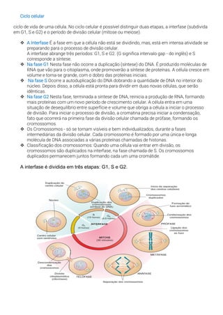 Ciclo celular
ciclo de vida de uma célula. No ciclo celular é possível distinguir duas etapas, a interfase (subdivida
em G1, S e G2) e o período de divisão celular (mitose ou meiose).
❖ A Interfase É a fase em que a célula não está se dividindo, mas, está em intensa atividade se
preparando para o processo de divisão celular.
A interfase abrange três períodos: G1, S e G2. (G significa intervalo gap - do inglês) e S
corresponde a síntese.
❖ Na fase G1 Nesta fase não ocorre a duplicação (síntese) do DNA. É produzido moléculas de
RNA que vão para o citoplasma, onde promoverão a síntese de proteínas. A célula cresce em
volume e torna-se grande, com o dobro das proteínas iniciais.
❖ Na fase S Ocorre a autoduplicação do DNA dobrando a quantidade de DNA no interior do
núcleo. Depois disso, a célula está pronta para dividir em duas novas células, que serão
idênticas.
❖ Na fase G2 Nesta fase, terminada a síntese de DNA, reinicia a produção de RNA, formando
mais proteínas com um novo período de crescimento celular. A célula entra em uma
situação de desequilíbrio entre superfície e volume que obriga a célula a iniciar o processo
de divisão. Para iniciar o processo de divisão, a cromatina precisa iniciar a condensação,
fato que ocorrerá na primeira fase da divisão celular chamada de prófase, formando os
cromossomos.
❖ Os Cromossomos - só se tornam visíveis e bem individualizados, durante a fases
intermediárias da divisão celular. Cada cromossomo é formado por uma única e longa
molécula de DNA associadas a várias proteínas chamadas de histonas.
❖ Classificação dos cromossomos: Quando uma célula vai entrar em divisão, os
cromossomos são duplicados na interfase, na fase chamada de S. Os cromossomos
duplicados permanecem juntos formando cada um uma cromátide.
A interfase é dividida em três etapas: G1, S e G2.
 