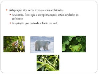  Adaptação dos seres vivos a seus ambientes
 Anatomia, fisiologia e comportamento estão atrelados ao
ambiente
 Adaptação por meio da seleção natural
 