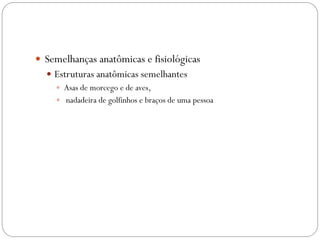 Semelhanças anatômicas e fisiológicas
 Estruturas anatômicas semelhantes
 Asas de morcego e de aves,
 nadadeira de golfinhos e braços de uma pessoa
 