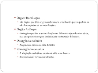  Órgãos Homólogos
 são órgãos que têm origem embrionária semelhante, porém podem ou
não desempenhar as mesmas funções.
 ÓrgãosAnálogos
 são órgãos que têm a mesma função em diferentes tipos de seres vivos,
mas que possuem origem embrionária e estruturas diferentes.
 Divergência evolutiva
 Adaptação a modos de vida distintos
 Convergência evolutiva
 A adaptação evolutiva a modos de vida semelhantes
 desenvolverem formas semelhantes
 