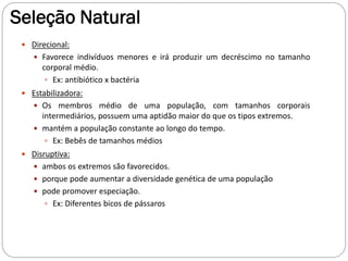 Seleção Natural
 Direcional:
 Favorece indivíduos menores e irá produzir um decréscimo no tamanho
corporal médio.
 Ex: antibiótico x bactéria
 Estabilizadora:
 Os membros médio de uma população, com tamanhos corporais
intermediários, possuem uma aptidão maior do que os tipos extremos.
 mantém a população constante ao longo do tempo.
 Ex: Bebês de tamanhos médios
 Disruptiva:
 ambos os extremos são favorecidos.
 porque pode aumentar a diversidade genética de uma população
 pode promover especiação.
 Ex: Diferentes bicos de pássaros
 