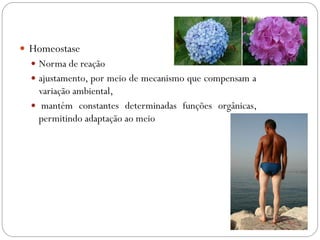  Homeostase
 Norma de reação
 ajustamento, por meio de mecanismo que compensam a
variação ambiental,
 mantém constantes determinadas funções orgânicas,
permitindo adaptação ao meio
 