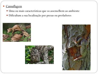  Camuflagem
 Uma ou mais características que os assemelhem ao ambiente
 Dificultam a sua localização por presas ou predadores
 