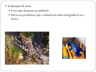  Coloração de aviso
 Cores que destacam no ambiente
 Alerta aos predadores que o animal tem sabor desagradável ou é
tóxico
 