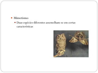  Mimetismo
 Duas espécies diferentes assemelham-se em certas
características
 