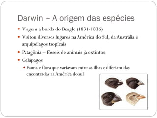 Darwin – A origem das espécies
 Viagem a bordo do Beagle (1831-1836)
 Visitou diversos lugares naAmérica do Sul, daAustrália e
arquipélagos tropicais
 Patagônia – fósseis de animais já extintos
 Galápagos
 Fauna e flora que variavam entre as ilhas e diferiam das
encontradas na América do sul
 