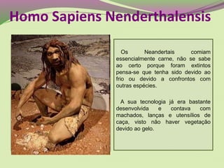 Os Neandertais comiam
essencialmente carne, não se sabe
ao certo porque foram extintos
pensa-se que tenha sido devido ao
frio ou devido a confrontos com
outras espécies.
A sua tecnologia já era bastante
desenvolvida e contava com
machados, lanças e utensílios de
caça, visto não haver vegetação
devido ao gelo.
Homo Sapiens Nenderthalensis
 