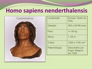 Características Localização Europa, Oeste da
Ásia,
Datação 300 a 29 Mil anos
Peso +/- 80 kg
Altura 1. 65 m
Crânio 1200 e 1700 cm³
Paleontologia Descoberto por
Engis, Belgium
em 1829
Homo sapiens nenderthalensis
 