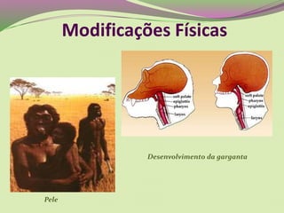Modificações Físicas
Pele
Desenvolvimento da garganta
 