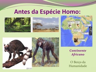 Antes da Espécie Homo:
Continente
Africano
O Berço da
Humanidade
 