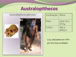 Australopitecos afarensis Localização África
Peso entre 30 e
40 Kg.
Crânio 380 a
480cm³
Australopithecos
Lucy, descoberta em 1974
por Tom Gray na Etiópia
 