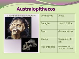 Australopithecus aethiopicus Localização África
Datação 2,8 a 2,2 M.a.
Peso desconhecido.
Crânio Cerca de 410
cm³
Paleontologia Descoberto em
1924, na Tanzânia
Australopithecos
 