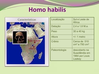 Características Localização Sul e Leste de
África
Datação 2,4 a 1,6 M.a.
Peso 30 a 40 kg
Altura +/- 1 metro
Crânio Cerca de 510
cm³ a 750 cm³
Paleontologia descoberto na
Suazilândia em
1964 por Louis
Leakey
Homo habilis
 