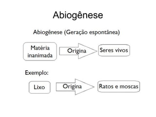Abiogênese
 