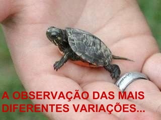 A OBSERVAÇÃO DAS MAIS DIFERENTES VARIAÇÕES... 