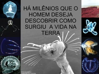 HÁ MILÊNIOS QUE O HOMEM DESEJA DESCOBRIR COMO SURGIU  A VIDA NA TERRA 