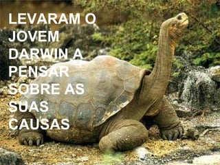 LEVARAM O JOVEM DARWIN A PENSAR SOBRE AS SUAS CAUSAS  