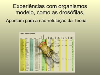 Experiências com organismos modelo, como as drosófilas, Apontam para a não-refutação da Teoria 