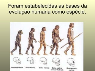 Foram estabelecidas as bases da evolução humana como espécie, 