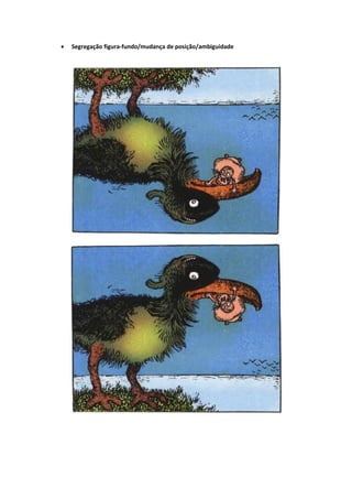    Segregação figura-fundo/mudança de posição/ambiguidade
 
