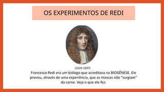 OS EXPERIMENTOS DE REDI
 