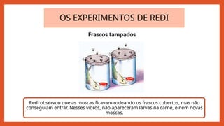 OS EXPERIMENTOS DE REDI
Redi observou que as moscas ficavam rodeando os frascos cobertos, mas não
conseguiam entrar. Nesses vidros, não apareceram larvas na carne, e nem novas
moscas.
 