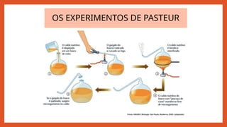 OS EXPERIMENTOS DE PASTEUR
 