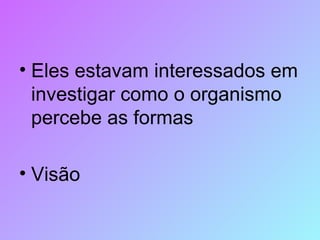 Eles estavam interessados em investigar como o organismo percebe as formas Visão  
