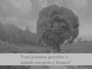 Você já tentou perceber o
mundo em preto e branco?
 