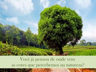 Você já pensou de onde vem
as cores que percebemos na natureza?
 
